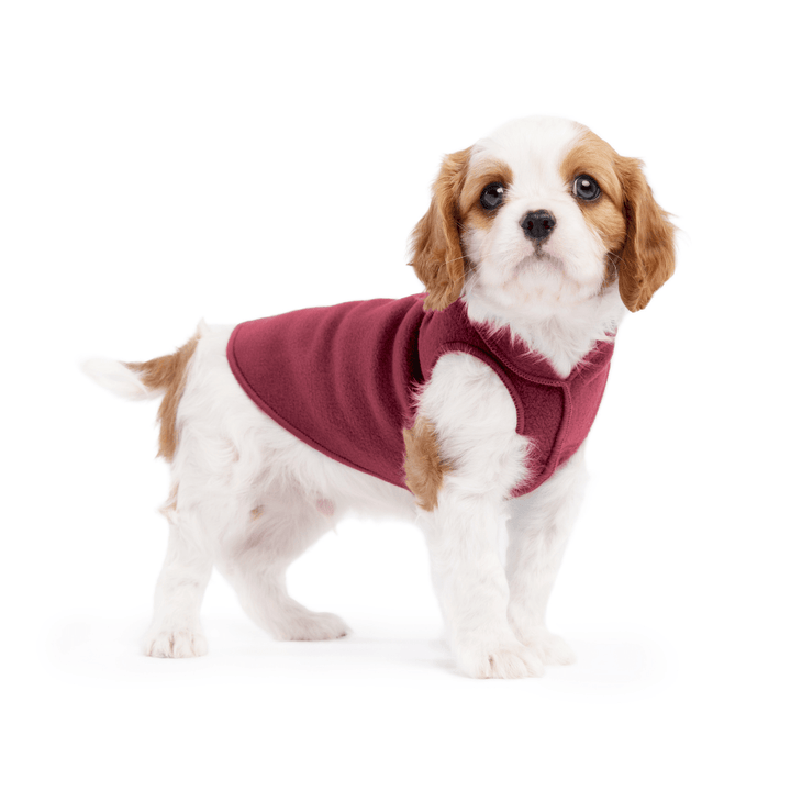 Stretch Fleece
