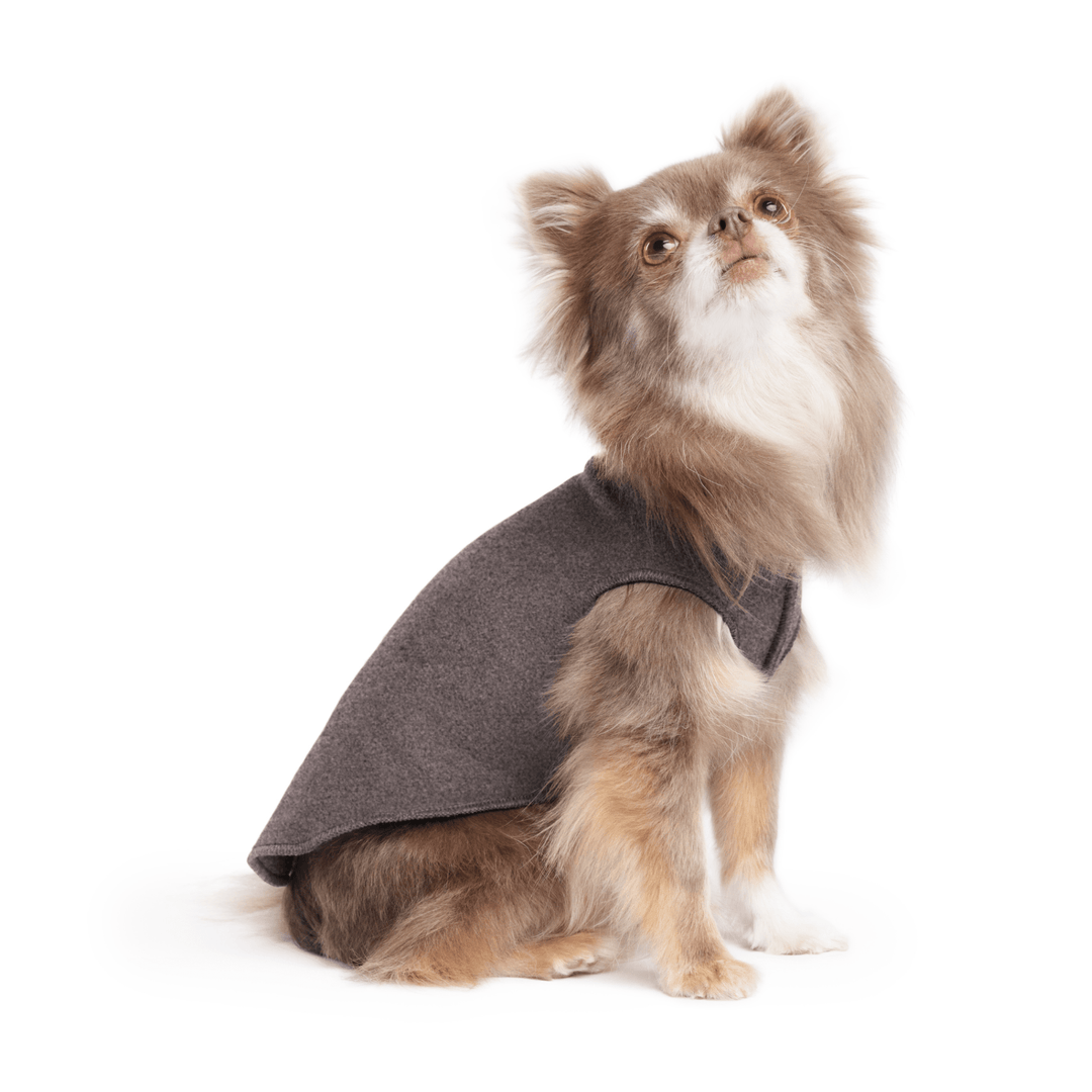 A long haired chihuahua wearing a charcoal stretch fleece on a white background
