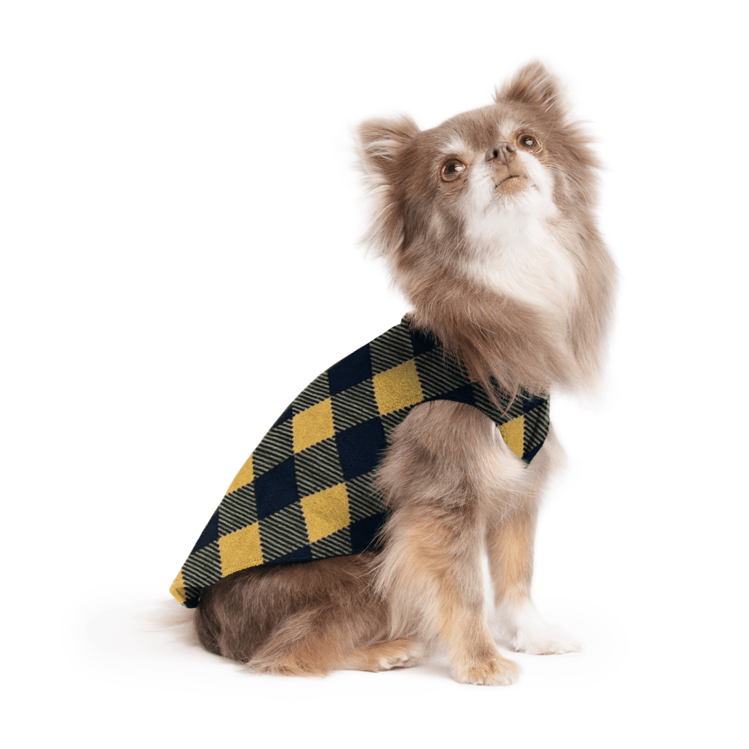 A long haired chihuahua wearing a Gold  and black Buffalo Check stretch fleece on a white background