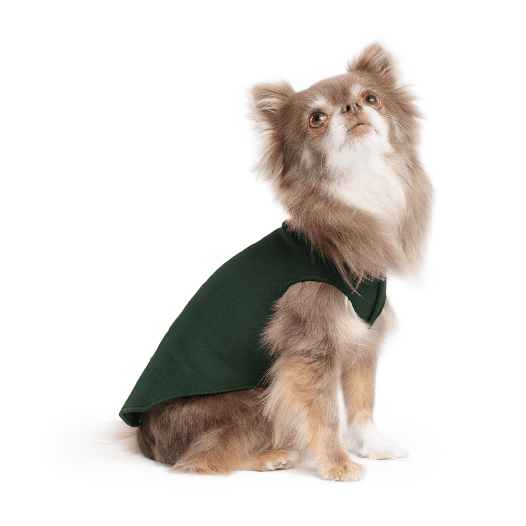 A long haired chihuahua wearing a Hunter Green stretch fleece on a white background