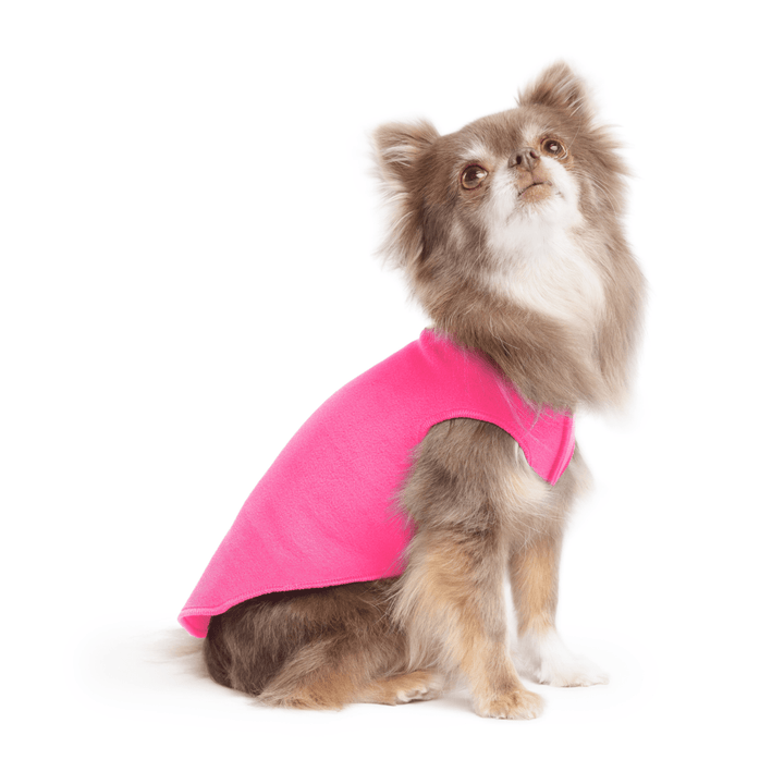A long haired chihuahua wearing a hot pink stretch fleece on a white background