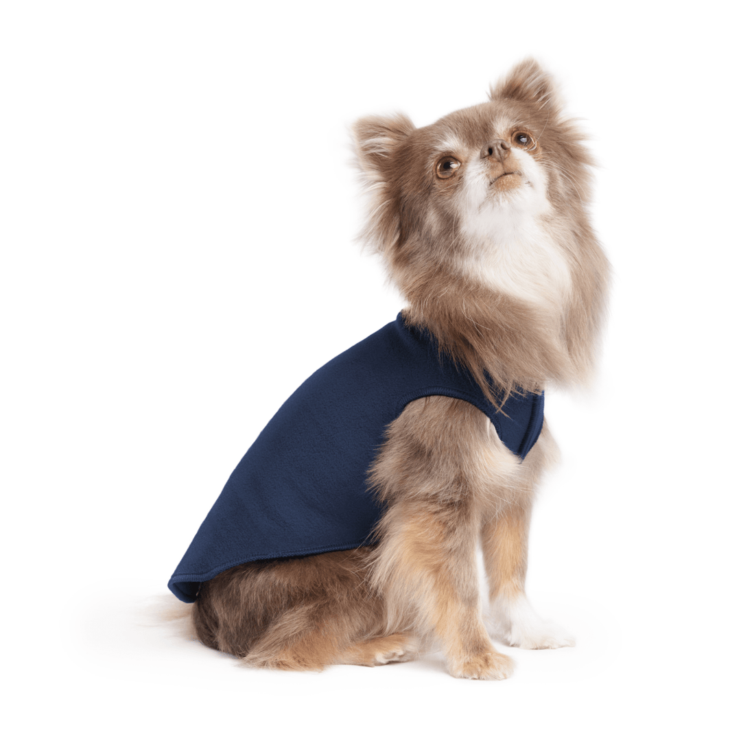 A long haired chihuahua wearing a navy stretch fleece on a white background