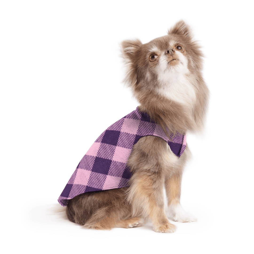 A long haired chihuahua wearing a rose and huckleberry buffalo check stretch fleece on a white background