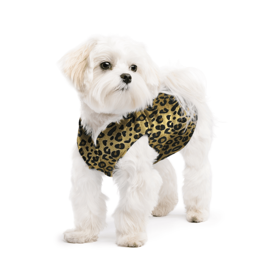 A white maltese dog wearing a leopard print stretch fleece on a white background