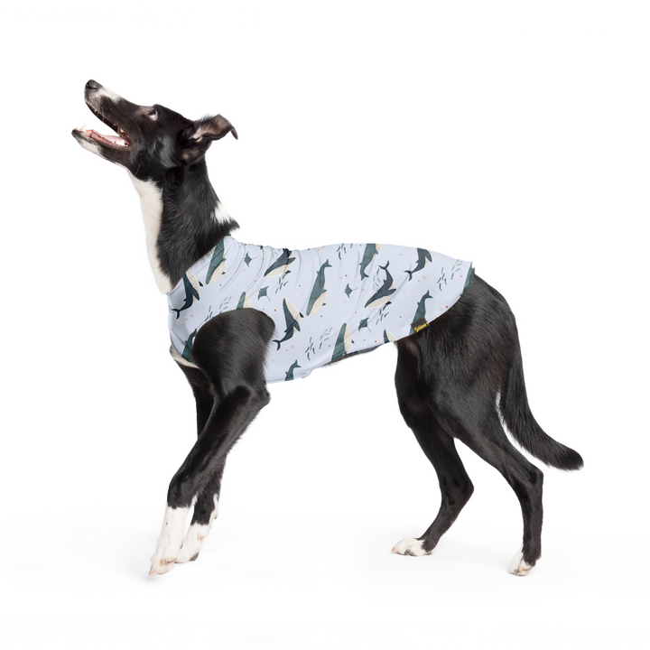 A dog stands wearing a multicolored whale pattern Sun Tee in front of a white background