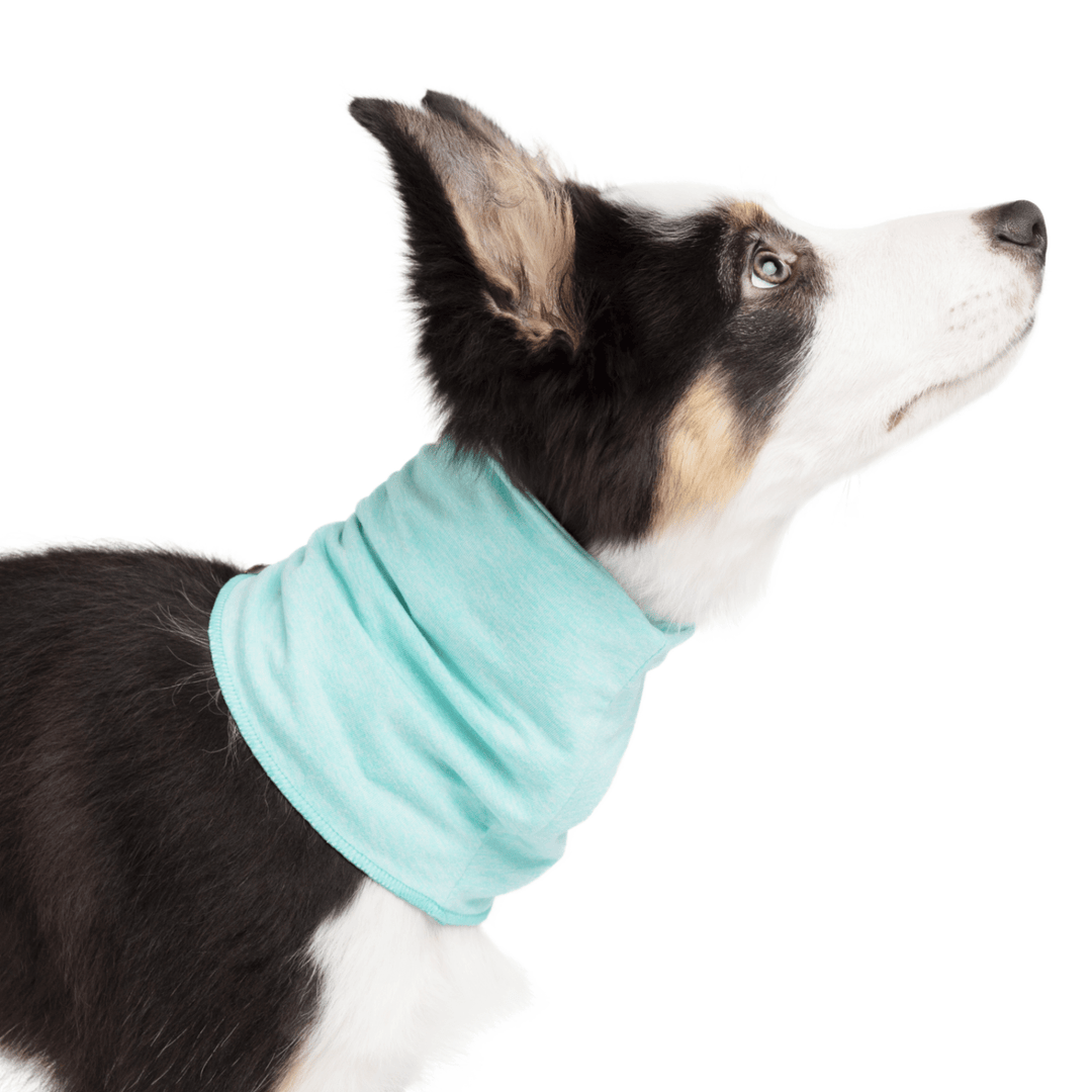 Sun Shield Snood | UV-Blocking | Goldpaw Series