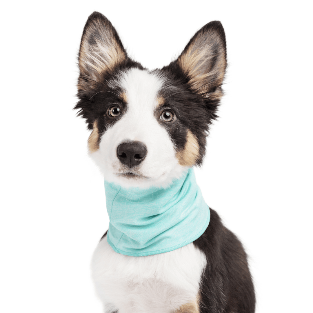 Sun Shield Snood | UV-Blocking | Goldpaw Series