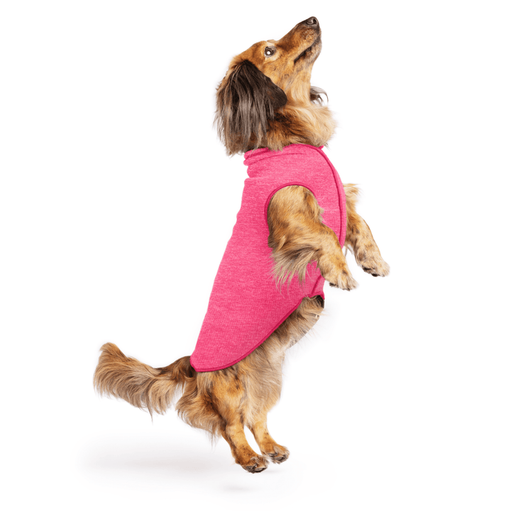 Mini Dachshund jumping wearing a flamingo pink sun tee one a white background