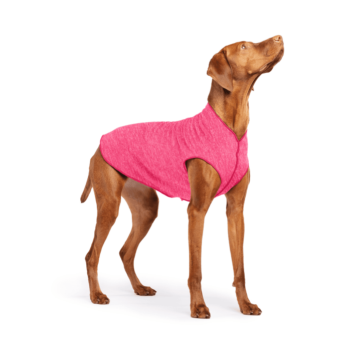 Vizsla is standing wearing a Flamingo pink Sun Tee on a white background