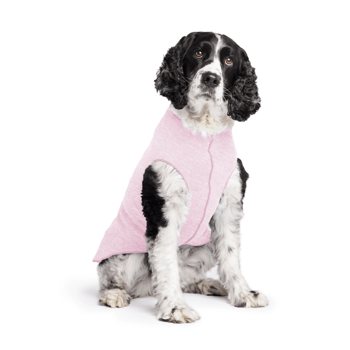 Springer Spaniel is sitting wearing a Pink Lemonade Sun Tee in front of a white background