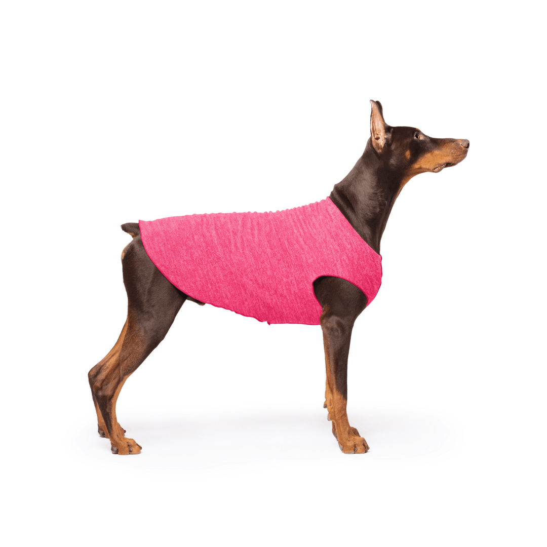 Doberman is standing wearing a Flamingo pink Sun Tee in front of a white background