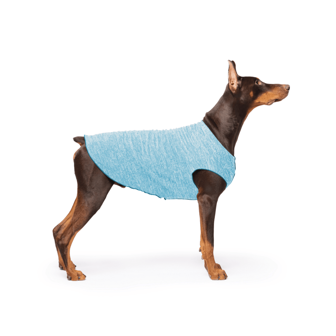 Doberman is standing wearing an Ocean blue Sun Tee in front of a white background