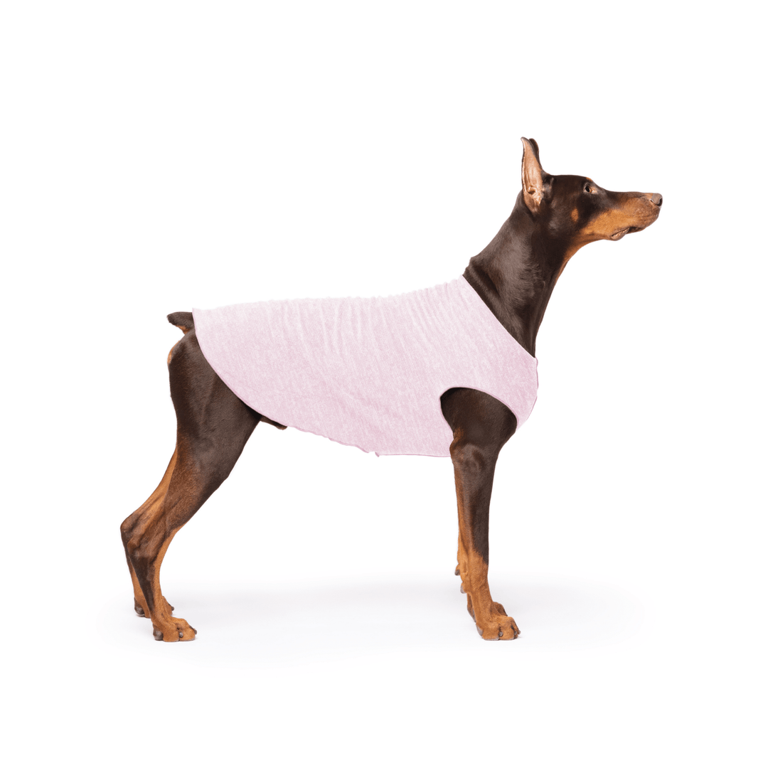 Doberman is standing wearing a Pink Lemonade Sun Tee in front of a white background