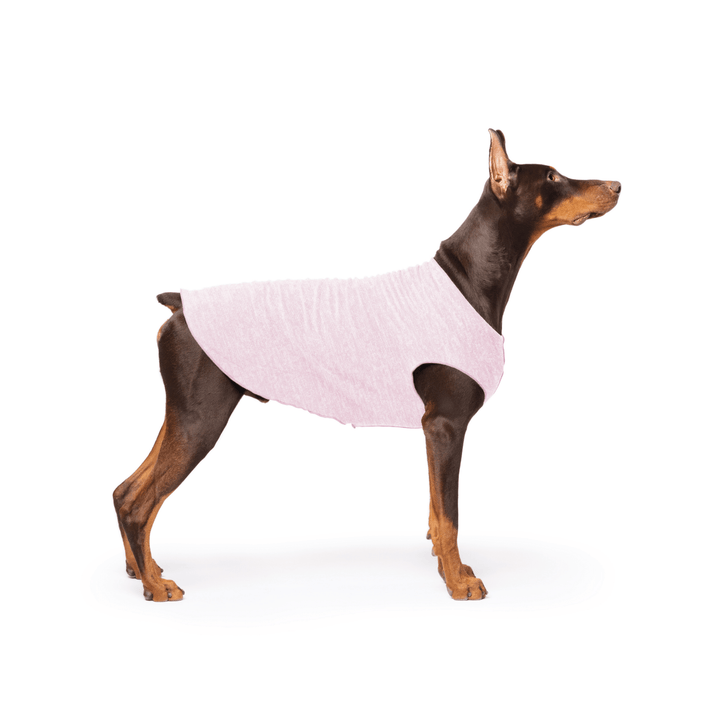 Doberman is standing wearing a Pink Lemonade Sun Tee in front of a white background