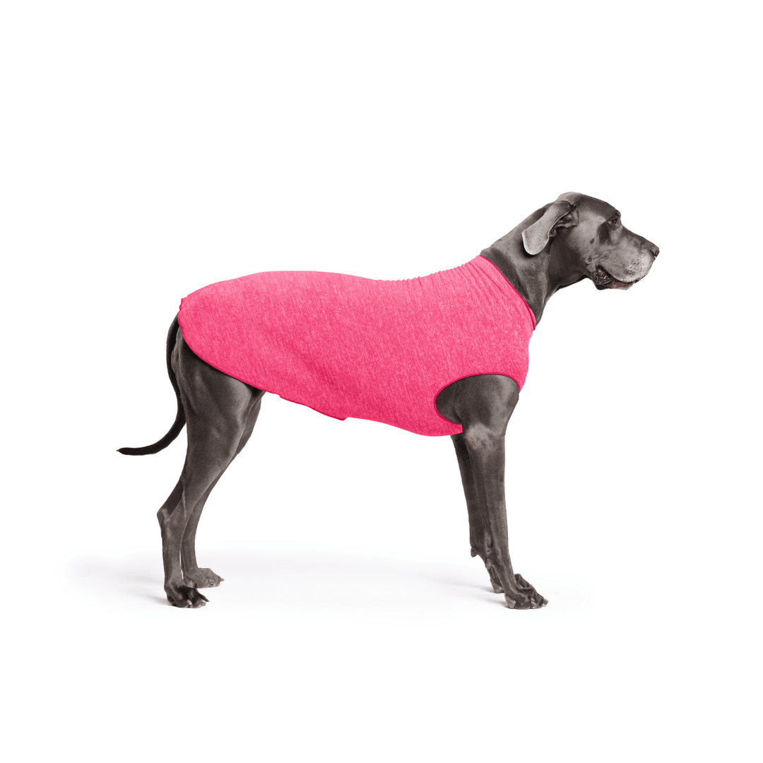 Great Dane is standing wearing a Flamingo pink Sun Tee in front of a white background