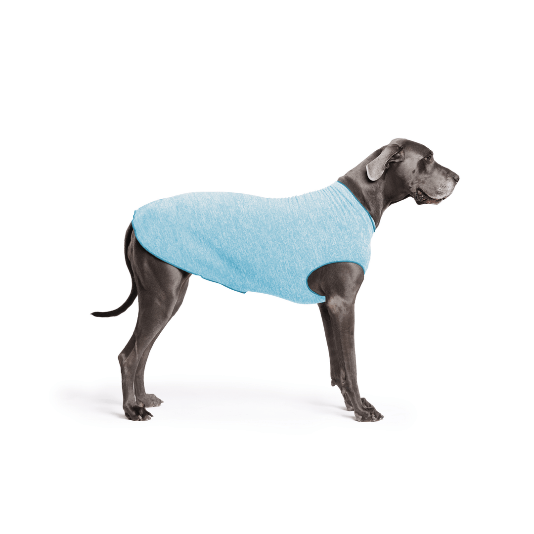 Great Dane is standing wearing an Ocean blue Sun Tee in front of a white background
