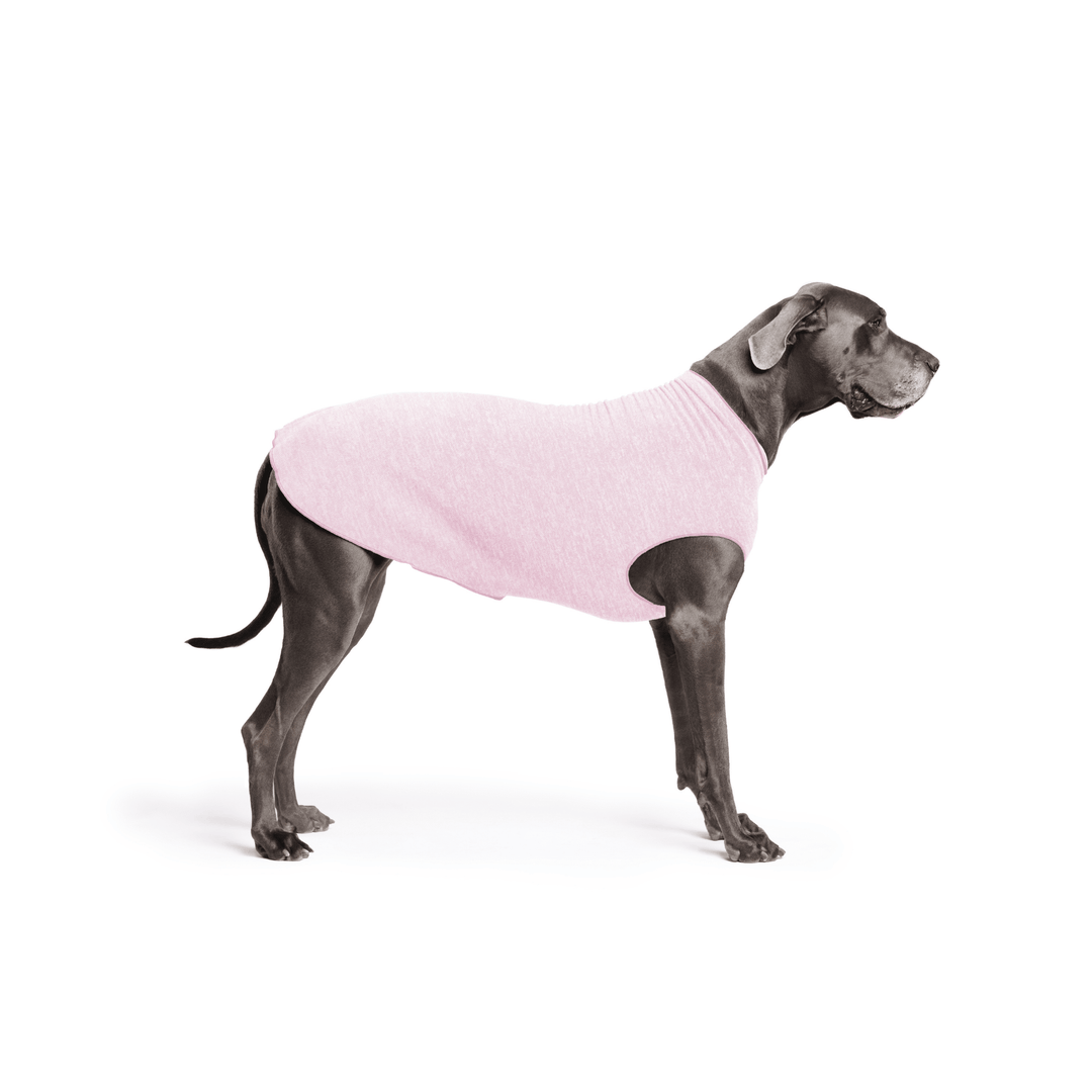 Great Dane is standing wearing a Pink Lemonade Sun Tee in front of a white background