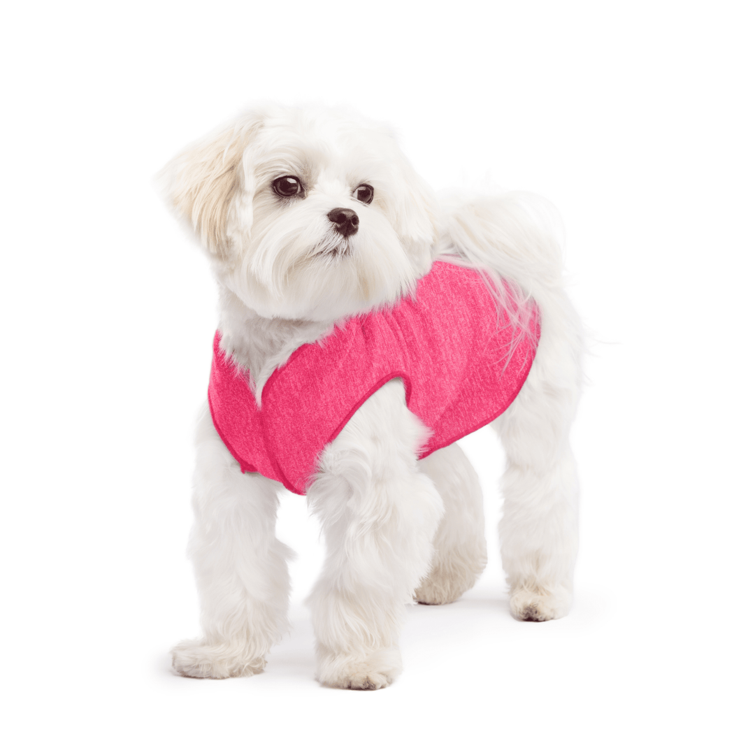 A white maltese dog wearing a flamingo pink Sun Tee on a white background