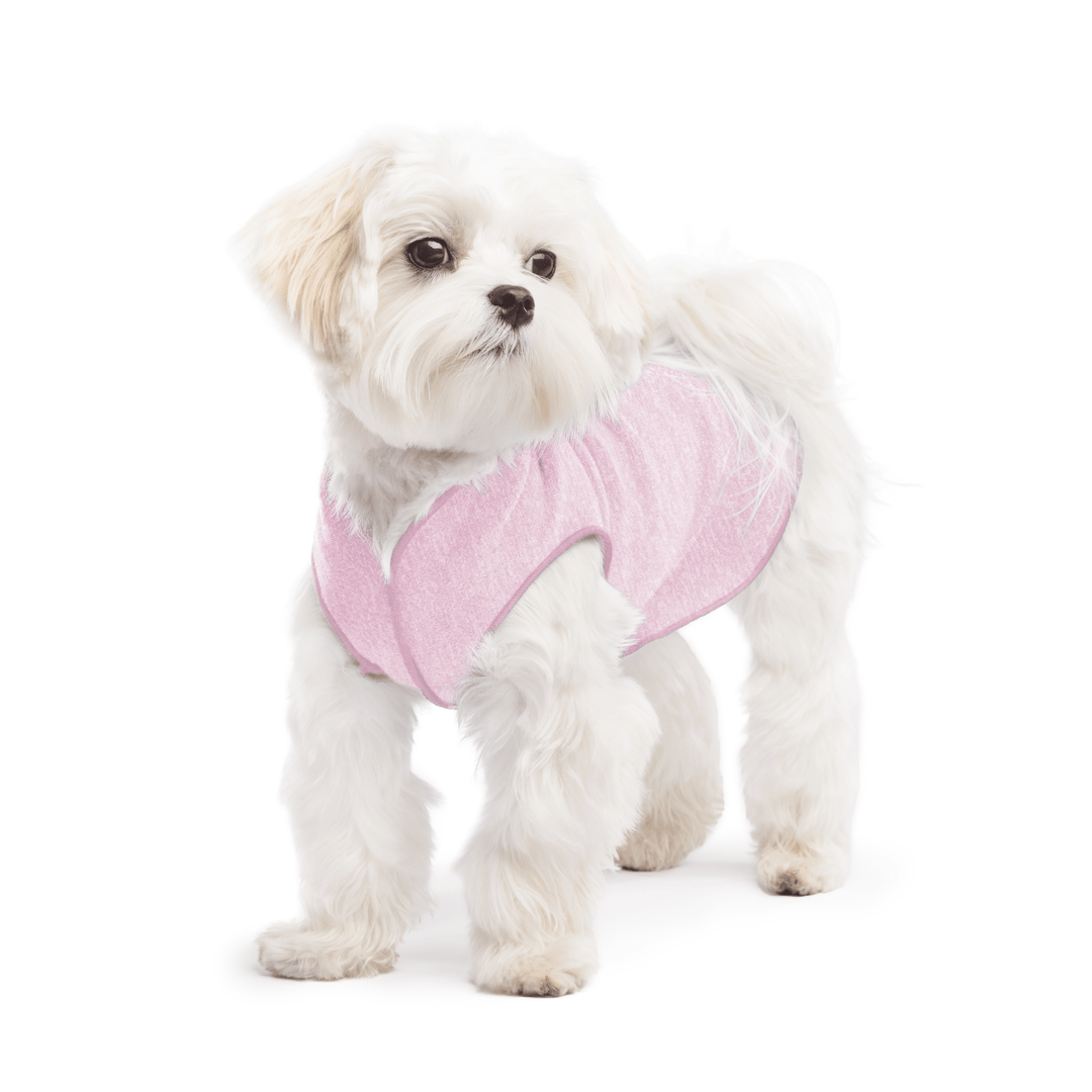 A white maltese dog wearing a pink lemonade Sun Tee on a white background