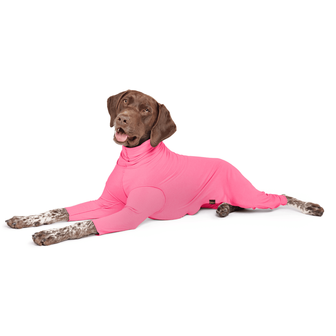 A German Shorthair Pointer laying wearing a Flamingo Pink Sun Suit in front of a white background