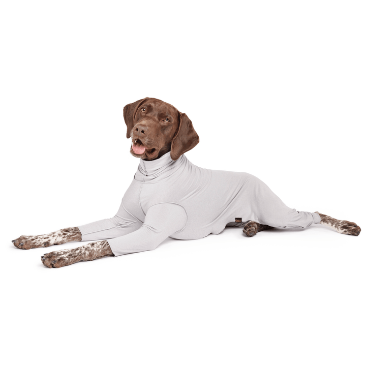 A German Shorthair Pointer laying wearing a Pebble Grey Sun Suit in front of a white background