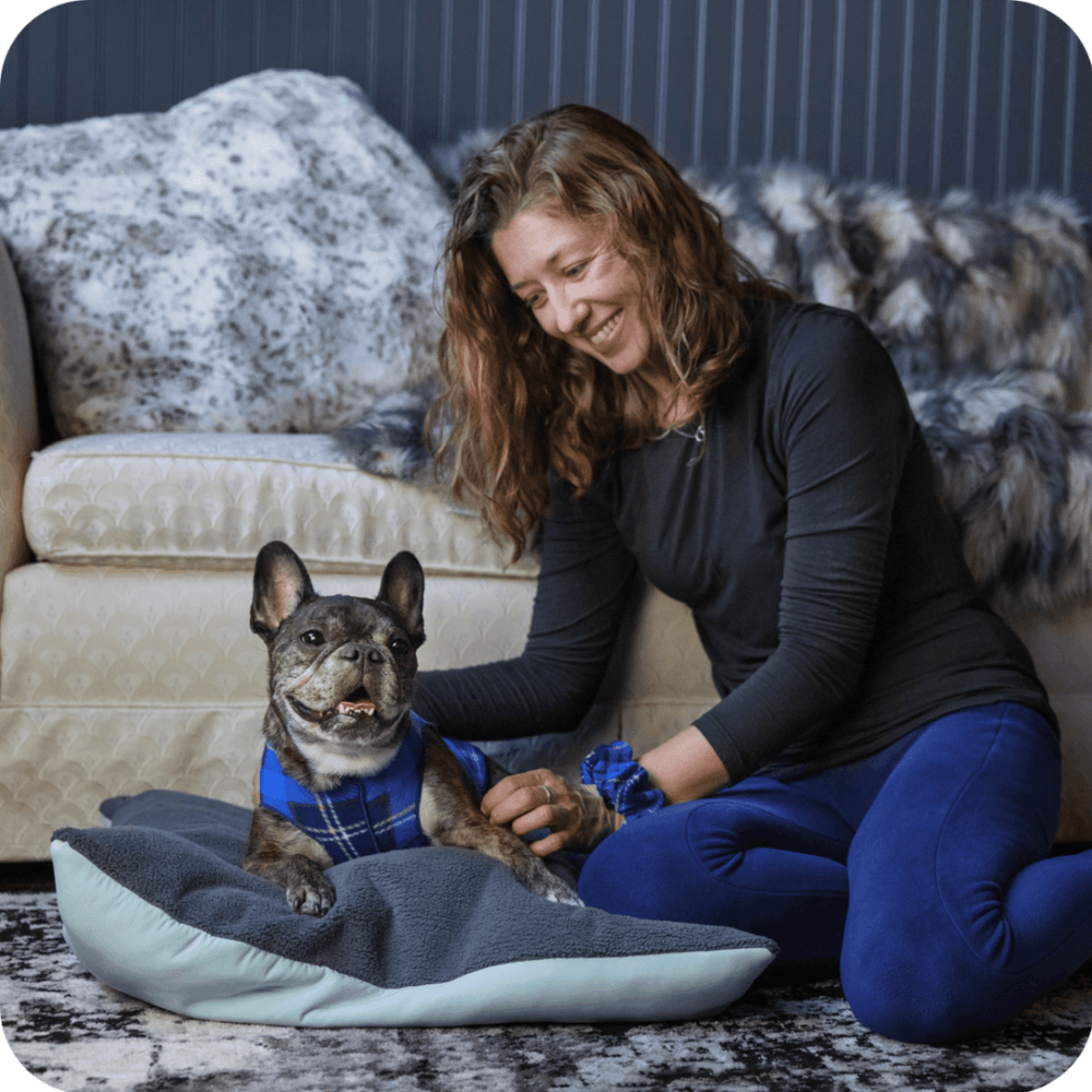 A French Bulldog lays on a pale blue and grey dog bed, wearing a Blue Plaid Stretch Fleece. A woman is sitting next to the dog, smiling and petting it, wearing a black top and blue leggings. They are on the floor of a living room.