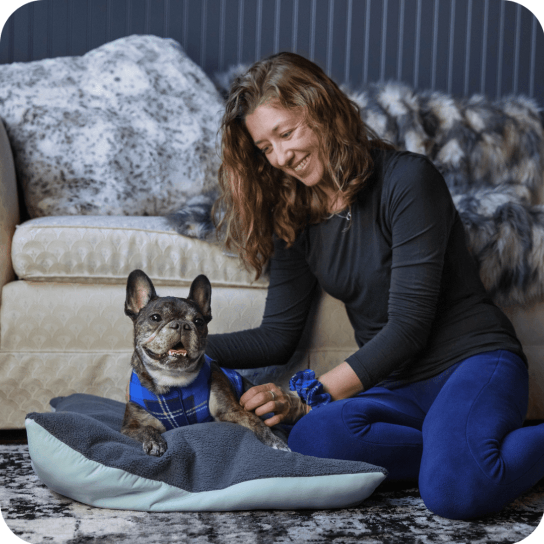 A French Bulldog lays on a pale blue and grey dog bed, wearing a Blue Plaid Stretch Fleece. A woman is sitting next to the dog, smiling and petting it, wearing a black top and blue leggings. They are on the floor of a living room.