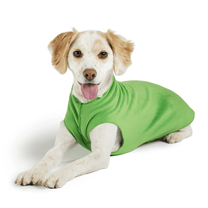 A dog lays wearing a Grass green Stretch fleece in front of a white background. 