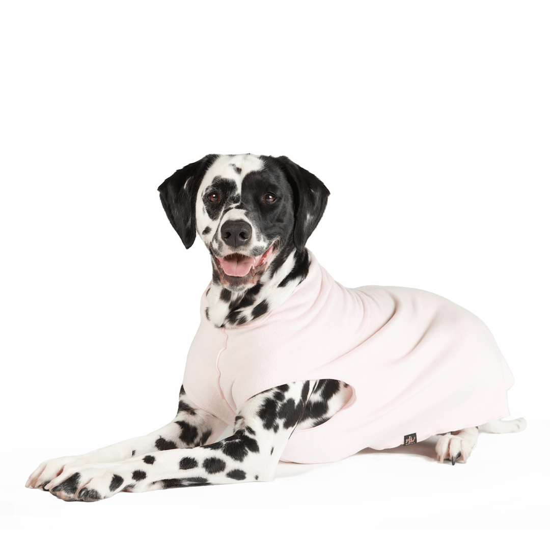 A Dalmation lays wearing an ice pink Stretch fleece in front of a white background. 
