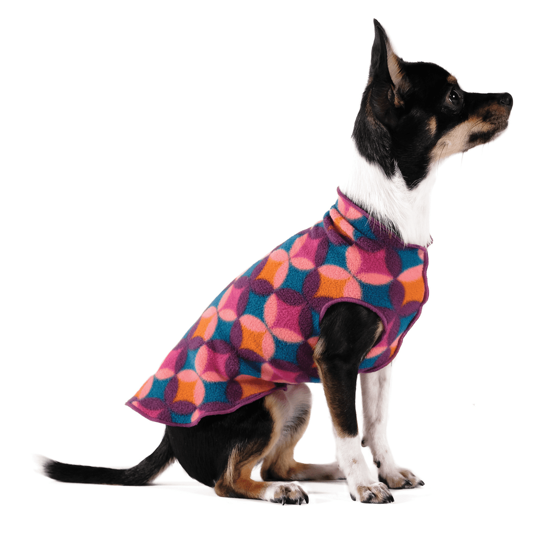 A dog sits wearing a summer mod pattern stretch fleece in front of a white background