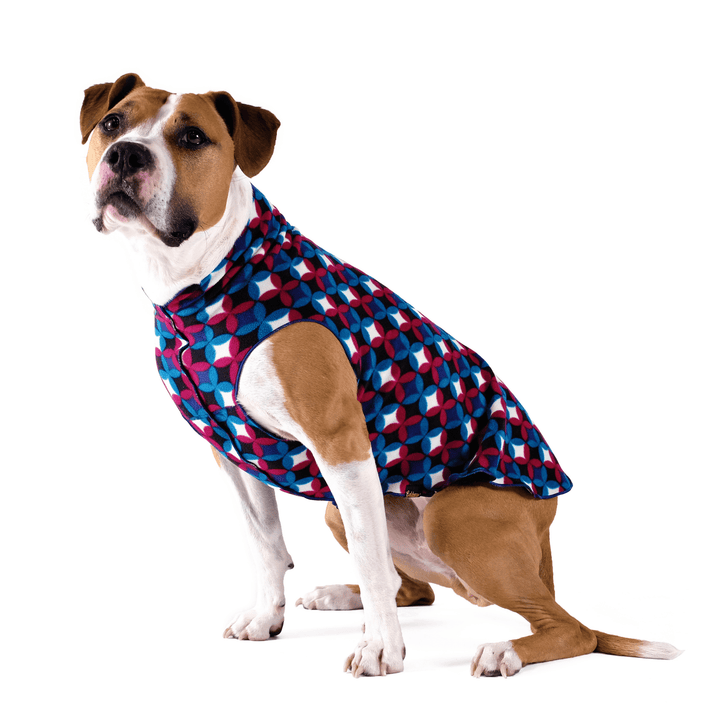 A dog sits wearing a Winter Mod pattern stretch fleece in front of a white background